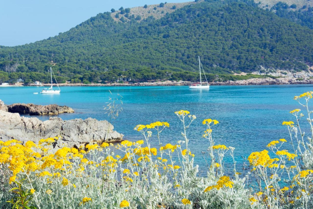Hsm Regana - Adults Only Ξενοδοχείο Cala Ratjada  Εξωτερικό φωτογραφία